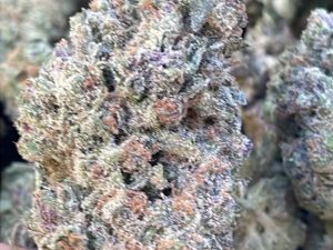 White Truffle THCA