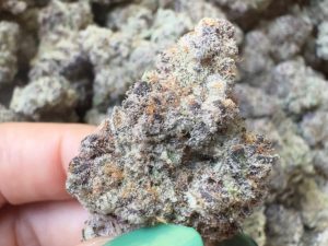 Kush Cakes THCA