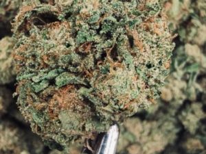 Super Boof THCA