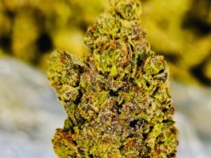 Richie Bros THCA